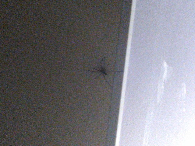 IMG_20260906_213735.jpg